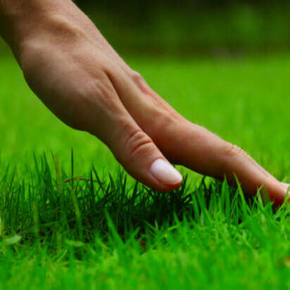 Rasenpflage themenwelt kachel